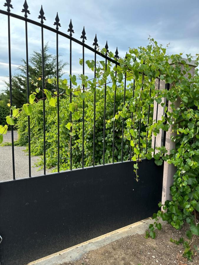 La Villa Du Rayol Saint Maximin エクステリア 写真